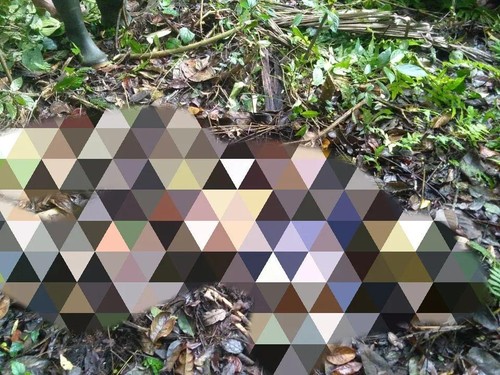 Tengkorak dan kerangka warga Banjar Munduk Andong, Desa Bangli, Kecamatan Baturiti atas nama I Ketut Satra yang sempat dilaporkan hilang sekitar 3 bulan lalu ditemukan pada Minggu (15/1/2023).