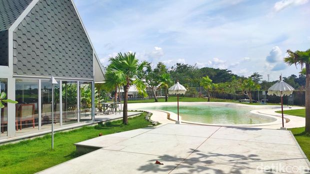 Restoran Bebek Tepi Sawah The Danau