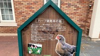 Menurut tulisan pada papan ini, restoran tersebut hanya menggunakan ayam yang diternak di dalam negeri saja. Foto: soranews24.com / Oona Mcgee