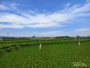 Hemat Biaya, Indah Pemandangannya, dan Mitos Mengerikan KA Lewat Jalur Selatan