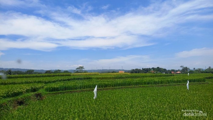 DarangdanKabupatenPurwakarta