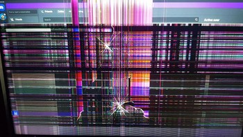 Seorang ibu menghancurkan monitor anaknya karena terganggu tidur akibat anjing peliharaan sang anak. Foto: via Bored Panda