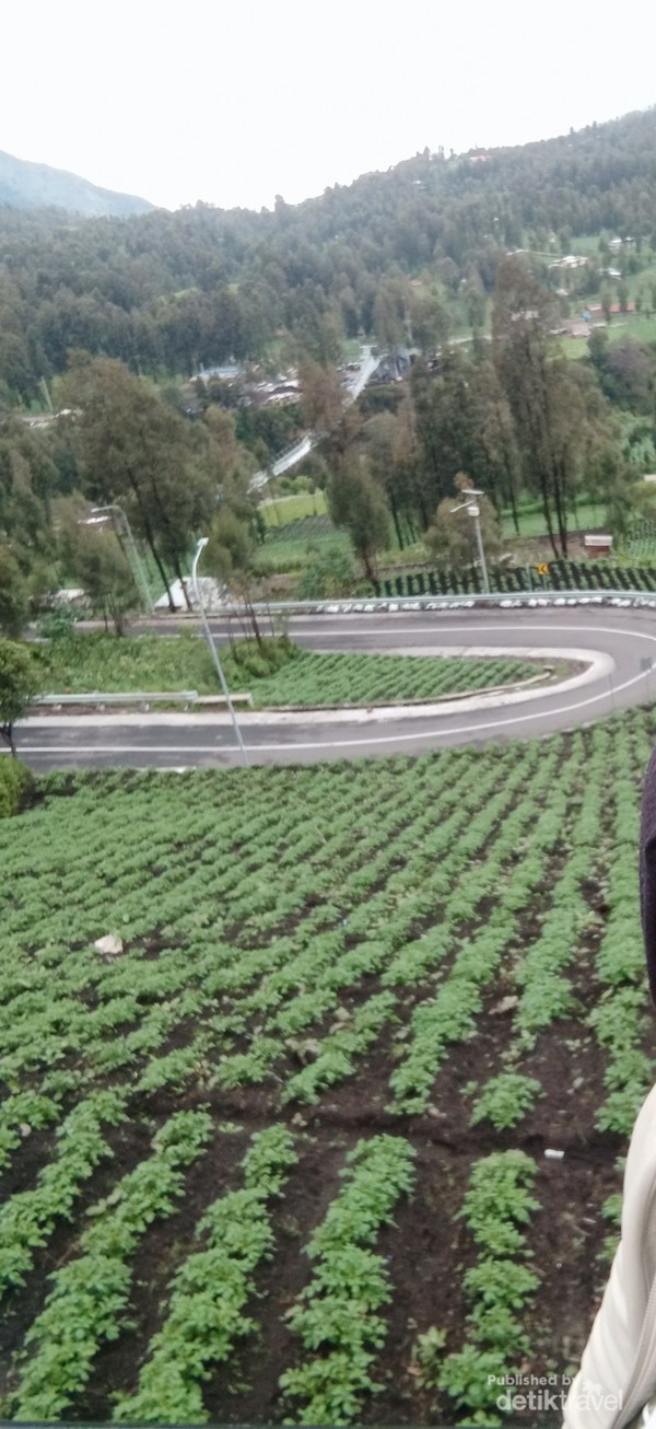 Tikungan Cinta di Bukit Seruni, terlihat jembatan kaca Bromo dari kejauhan.