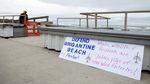 Dalam Sebulan, 7 Paus Mati Terdampar di Pantai AS