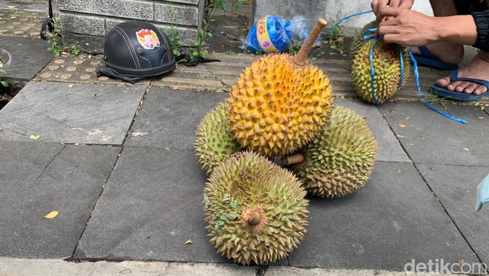 Durian di Kapanewon Patuk, Gunungkidul. Foto diambil Senin (16/1/2023).