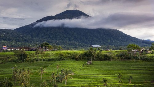 Gunung Batukaru.