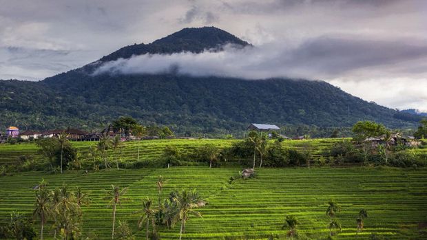 Gunung Batukaru: Keindahan Tersembunyi untuk Pendaki Pencinta Alam