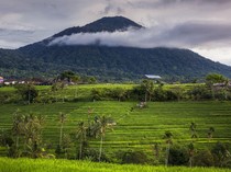 Keindahan Gunung Batukaru: Jalur Meditasi dan Jejak Mitologi Bali