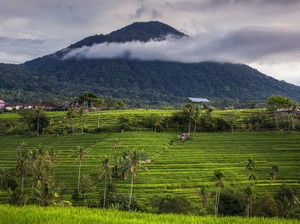 Keindahan Gunung Batukaru: Jalur Meditasi dan Jejak Mitologi Bali