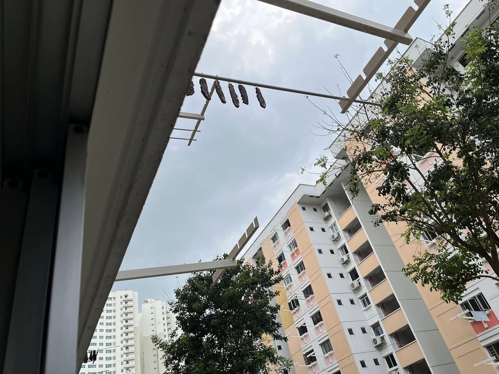 Heboh! Penghuni Apartemen Jemur Daging Babi Berbumbu di Tiang Jemuran