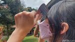 Melihat Kacamata Matahari Buatan Observatorium Bosscha