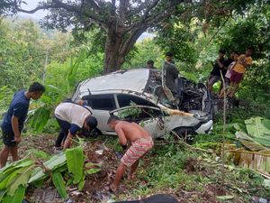 Mobil Rombongan Bule Rusia Jatuh ke Jurang Buleleng