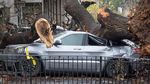 Mobil-mobil di California Ringsek Tertimpa Pohon Tumbang