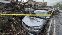 Pohon tersebut tumbang akibat diterpa angin kencang.  