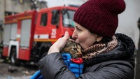 Kucing tersebut akhirnya diserahkan ke pemiliknya.