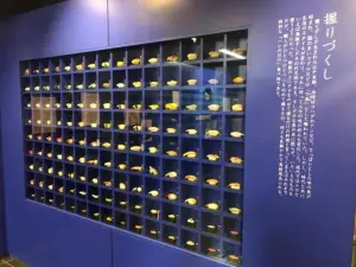Museum Sushi Berkonsep Unik, Museum Sushi di Jepang Ini Buka di Tengah Mall