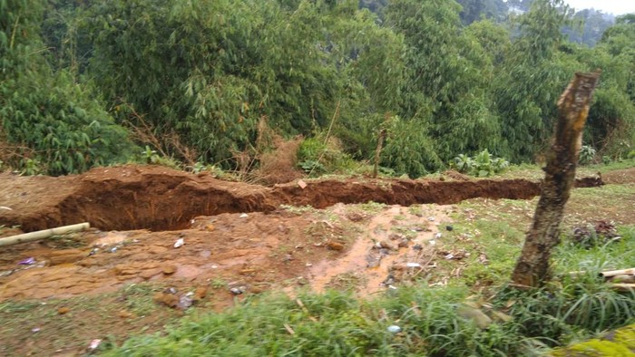 Patahan tanah muncul di kawasan Sarongge Kecamatan Pacet usai diguyur hujan