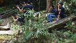 Pesona Air Terjun Dangku Kuansing, Riau