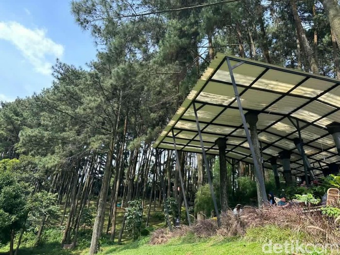 Rekomendasi salah satu tempat healing di Bogor, Jawa Barat. Rekomendasi salah satu tempat healing di Bogor, Jawa Barat. Bisa menikmati pemandangan Gunung Salak dan Gunung Gede Pangrango.
