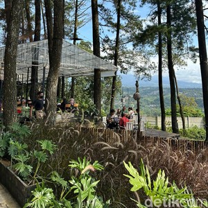 Hangout Sambil Nikmati Pemandangan 2 Gunung di Cafe Pasir Angin Pass, Bogor