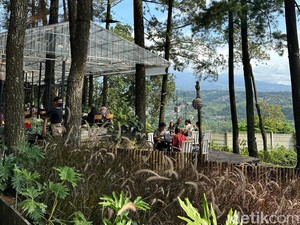Hangout Sambil Nikmati Pemandangan 2 Gunung di Cafe Pasir Angin Pass, Bogor