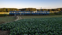 Kereta api ini sudah 60 tahun melewati rute di pedesaan antara stasiun Chōshi dan Tokawa di Prefektur Chiba, Jepang.  