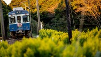 Seperti banyak jalur kereta api kecil melintasi pedesaan Jepang, kereta api ini pun harus merugi karena menghadapi penurunan jumlah penumpang.  