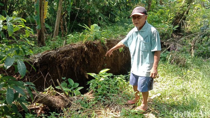 Tanggul Sungai Cimanuk di Blok Pulocangak, Desa Bangodua, Kecamatan Bangodua, Kabupaten Indramayu, ambles.
