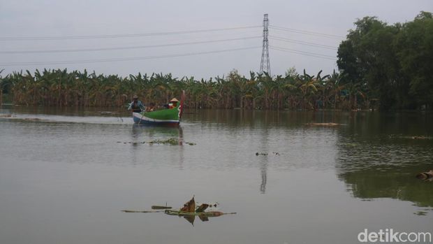 Wisata perahu keliling persawahan kebanjiran di Desa Mintobasuki Kecamatan Gabus, Pati, Senin (16/1/2023).