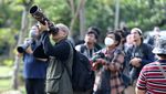 Yuk! Lihat Sensus Burung Air di Jakarta