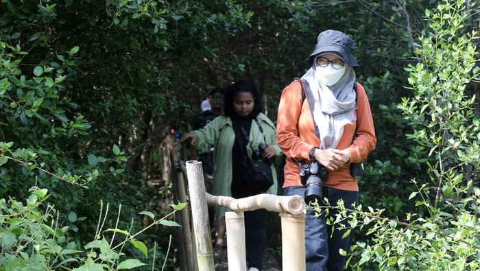 Biodiversity Warriors (BW) KEHATI melakukan sensus burung air Asia di Taman Wisata Alam Mangrove Angke Kapuk Jakarta. Hasilnya ada 14 jenis burung air yang berhasil didata.
