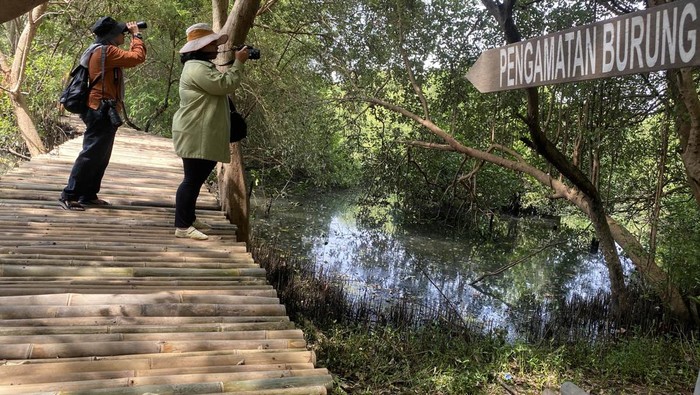 Biodiversity Warriors (BW) KEHATI melakukan sensus burung air Asia di Taman Wisata Alam Mangrove Angke Kapuk Jakarta. Hasilnya ada 14 jenis burung air yang berhasil didata.