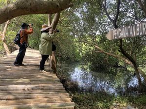 Hutan Kota: Pengertian, Tujuan, Peran, serta Manfaatnya