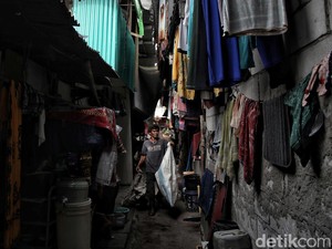 BKKBN: Bantuan di DKI Banyak, Harusnya Tak Ada Penduduk Miskin Ekstrem