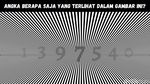 Bisa Temukan Angka Tersembunyi di Gambar Ini? Yuk, Adu Ketajaman Mata