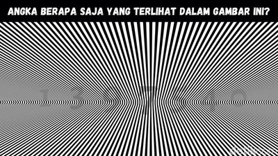 Bisa Temukan Angka Tersembunyi di Gambar Ini? Yuk, Adu Ketajaman Mata