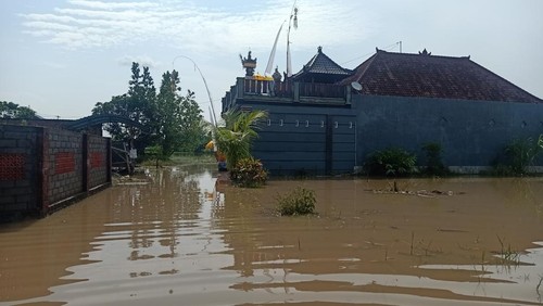 Rumah warga yang masih tergenang banjir di wilayah Desa Kaliakah, Kecamatan Negara, Kabupaten Jembrana, Selasa (17/1/2022).