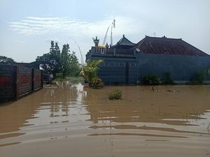 Hujan Deras, 71 Rumah di Jembrana Terendam Banjir