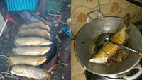 Pecinta ikan hias pasti menangis melihat ini. Sebanyak enam ekor ikan arwana di masak. Ada yang dibakar hingga digoreng. Foto: Instagram /Twitter