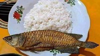 Begini wujudnya jika ikan hias berupa ikan arwana digoreng kering. Ikannya kemudian dijadikan lauk untuk makan nasi. Foto: Instagram /Twitter