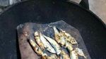 Bikin Kesal! Ini 10 Cara Nyebelin Masak dan Makan Ikan
