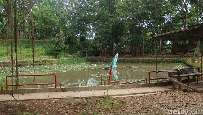 Satu unit ekskavator yang terjebak di danau buatan atau area 2 Kebun Buah Mangunan, Bantul. Selasa (17/1/2022). Penampakan ekskavator yang bertahun-tahun terjebak di danau buatan Kebun Buah Mangunan. Saat ini ekskavator itu hanya tampak bagian pengeruknya saja