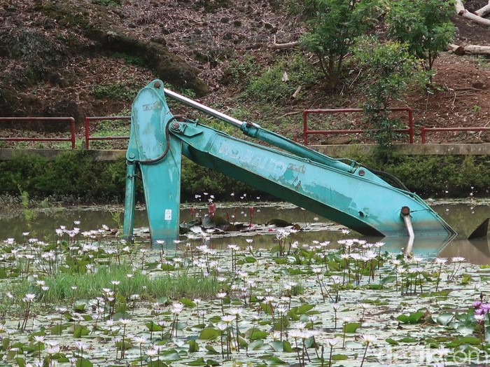 Satu unit eskavator yang terjebak di danau buatan atau area 2 Kebun Buah Mangunan, Kabupaten Bantul. Selasa (17/1/2022). Penampakan eskavator yang bertahun-tahun terjebak di danau buatan Kebun Buah Mangunan. Saat ini eskavator itu hanya tampak pada bagian pengeruk saja