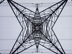 Hewan Sampai Tempat Terkenal Dipotret dari Angle Beda, Hasilnya Unik!