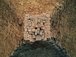 Hewan Sampai Tempat Terkenal Dipotret dari Angle Beda, Hasilnya Unik!