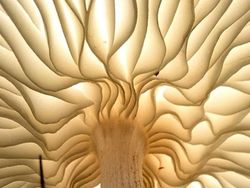 Hewan Sampai Tempat Terkenal Dipotret dari Angle Beda, Hasilnya Unik!