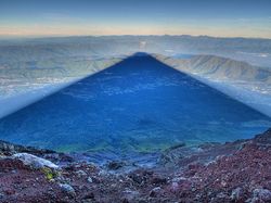 Hewan Sampai Tempat Terkenal Dipotret dari Angle Beda, Hasilnya Unik!