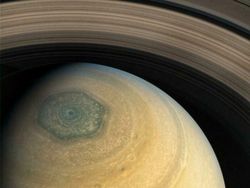 Hewan Sampai Tempat Terkenal Dipotret dari Angle Beda, Hasilnya Unik!