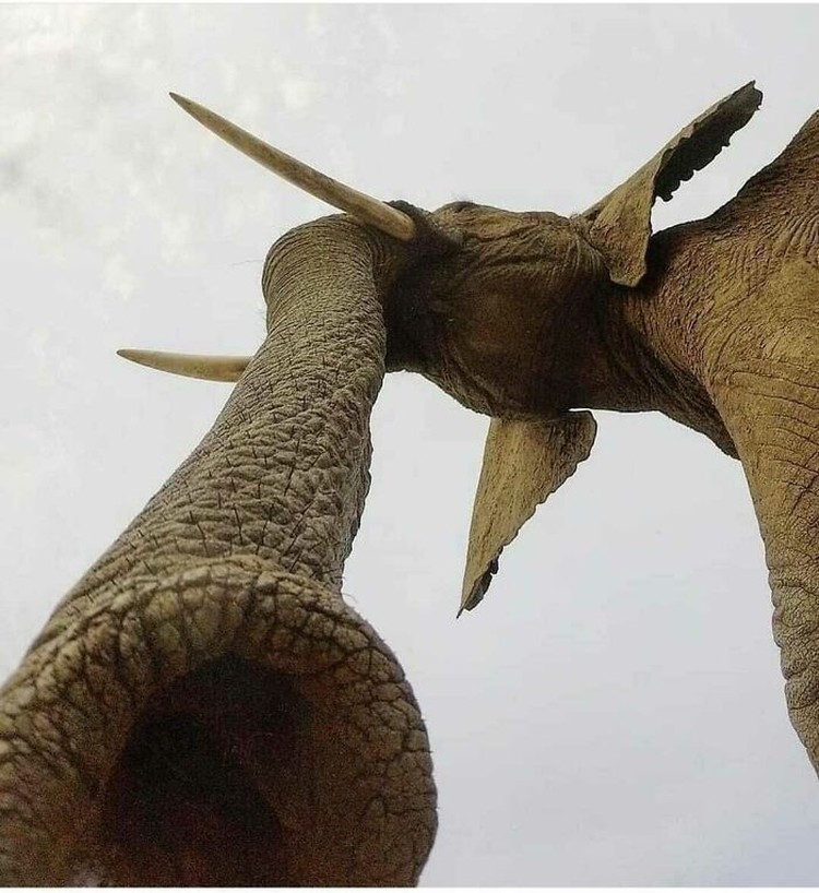 Foto ikonik dari sudut berbeda