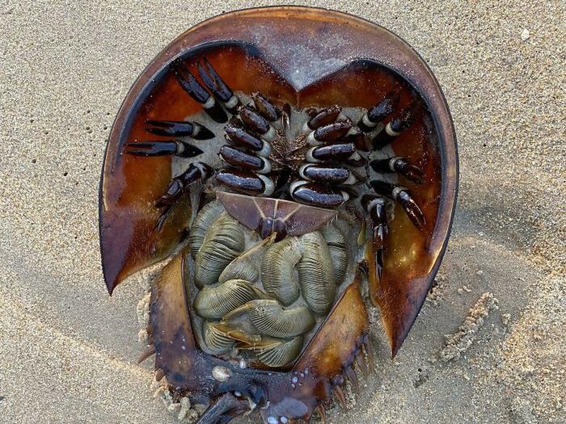 Foto ikonik dari sudut berbeda